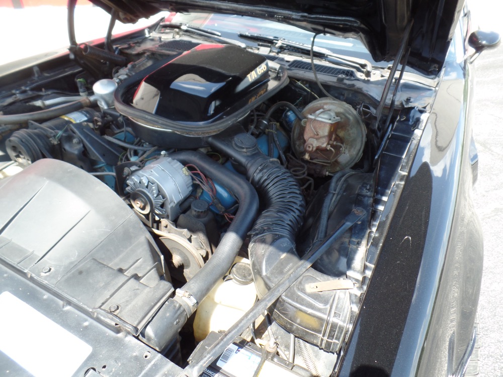 Used 1978 Pontiac Trans Am NICE 6.6 Black Bird- LOW original Mile-SEE VIDEO | Mundelein, IL