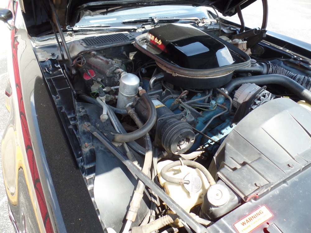 Used 1978 Pontiac Trans Am NICE 6.6 Black Bird- LOW original Mile-SEE VIDEO | Mundelein, IL