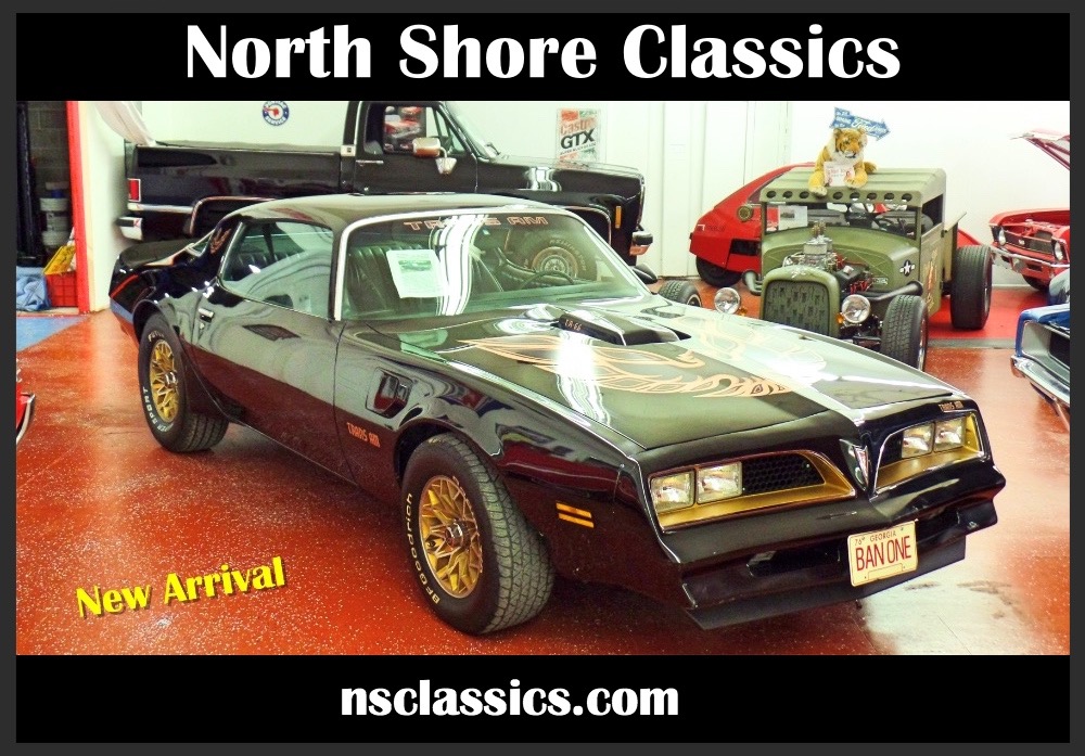 Used 1977 Pontiac Firebird Firebird with Bandit Look-Affordable Classic-NEW LOW PRICE SEE VIDEO | Mundelein, IL