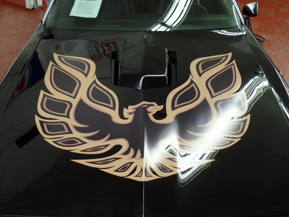 Used 1977 Pontiac Firebird Firebird with Bandit Look-Affordable Classic-NEW LOW PRICE SEE VIDEO | Mundelein, IL