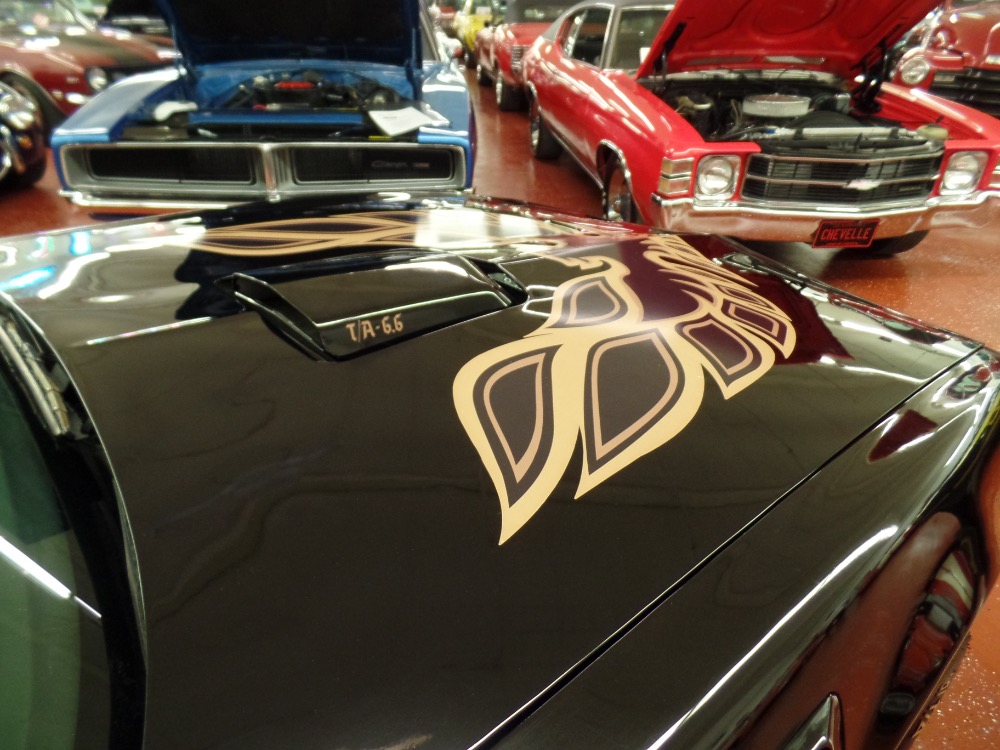 Used 1977 Pontiac Firebird Firebird with Bandit Look-Affordable Classic-NEW LOW PRICE SEE VIDEO | Mundelein, IL