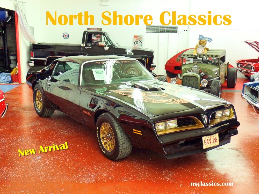 Used 1977 Pontiac Firebird Firebird with Bandit Look-Affordable Classic-NEW LOW PRICE SEE VIDEO | Mundelein, IL