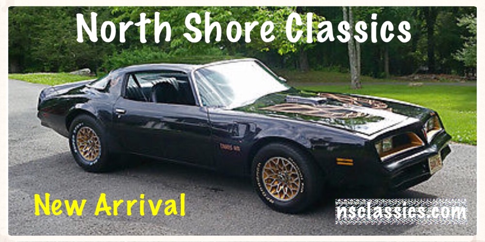 Used 1977 Pontiac Firebird Firebird with Bandit Look-Affordable Classic-NEW LOW PRICE SEE VIDEO | Mundelein, IL