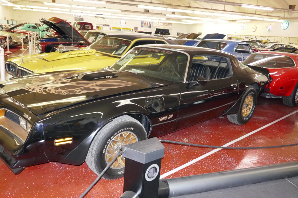 Used 1977 Pontiac Firebird Firebird with Bandit Look-Affordable Classic-NEW LOW PRICE SEE VIDEO | Mundelein, IL