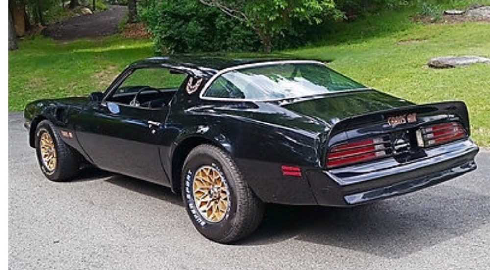Used 1977 Pontiac Firebird Firebird with Bandit Look-Affordable Classic-NEW LOW PRICE SEE VIDEO | Mundelein, IL