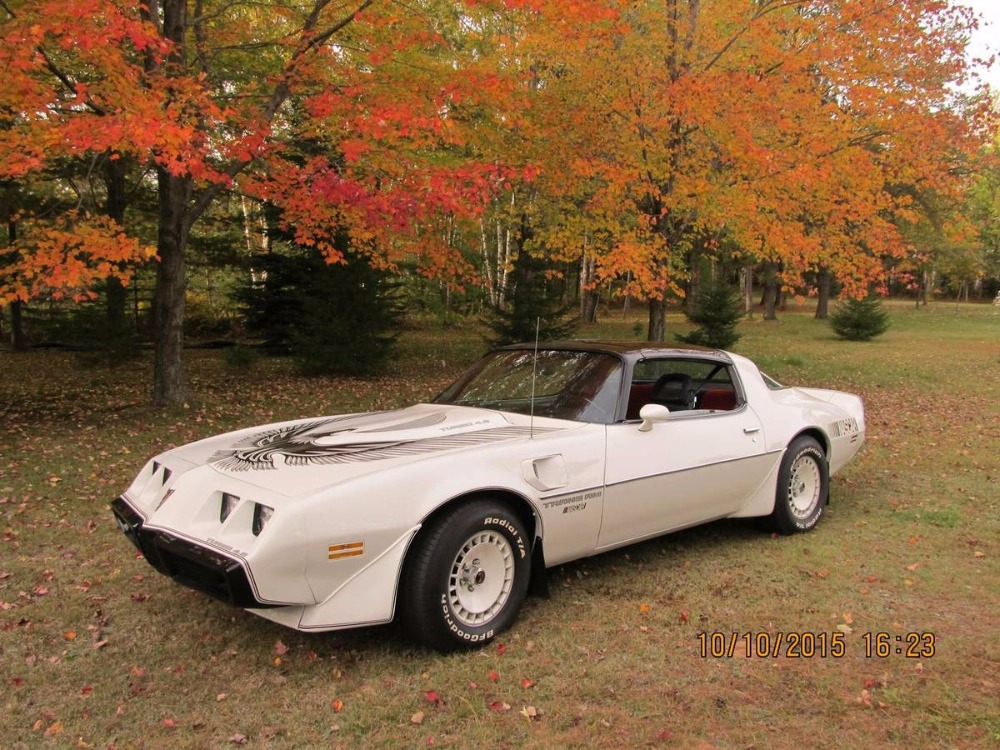 Used 1981 Pontiac Trans Am -NASCAR EDITION- NUMBER 608 OF 2000 MADE- | Mundelein, IL