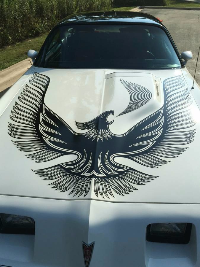 Used 1981 Pontiac Trans Am -NASCAR EDITION- NUMBER 608 OF 2000 MADE- | Mundelein, IL