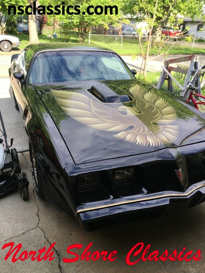 Used 1980 Pontiac Trans Am -BLACK ON BLACK | Mundelein, IL