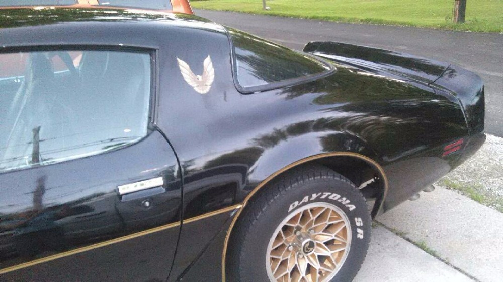 Used 1980 Pontiac Trans Am -BLACK ON BLACK | Mundelein, IL
