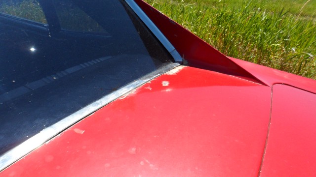 Used 1967 Pontiac GTO SEE VIDEO | Mundelein, IL