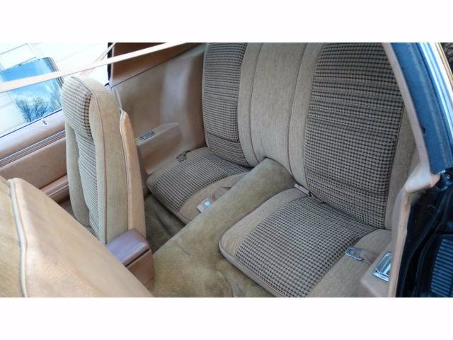 Used 1979 Pontiac Trans Am HIGH QUALITY DRIVER | Mundelein, IL