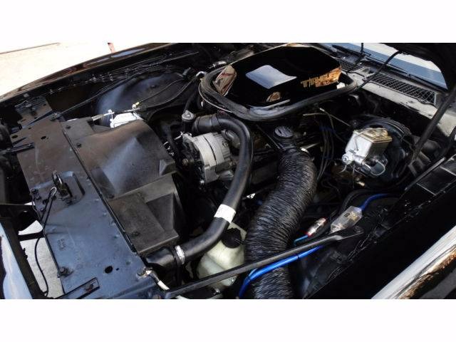 Used 1979 Pontiac Trans Am HIGH QUALITY DRIVER | Mundelein, IL