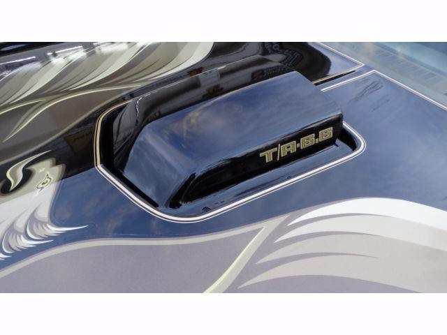Used 1979 Pontiac Trans Am HIGH QUALITY DRIVER | Mundelein, IL