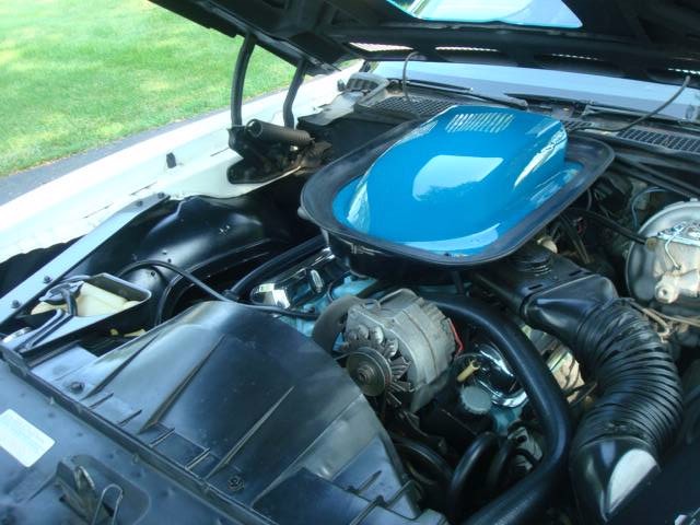 Used 1973 Pontiac Firebird -TRANS AM -FUEL FOR THE SOUL- SEE VIDEO | Mundelein, IL