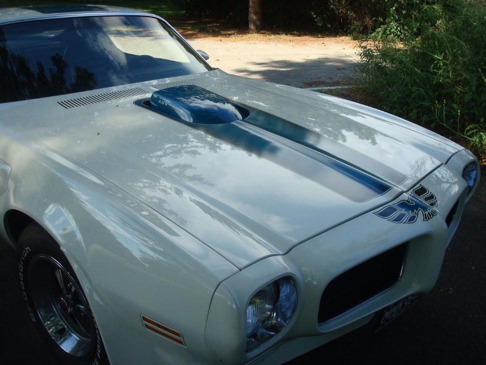 Used 1973 Pontiac Firebird -TRANS AM -FUEL FOR THE SOUL- SEE VIDEO | Mundelein, IL