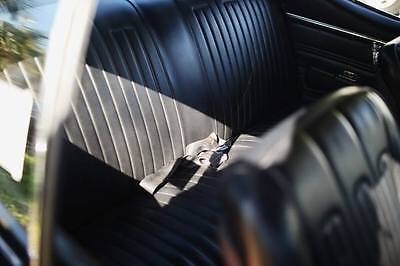 Used 1968 Pontiac GTO Real 242- Authentic Car- Trophie Winner from Florida- | Mundelein, IL