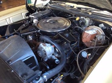 Used 1969 Pontiac GTO -ONE OWNER- NUMBERS MATCHING-ORIGINAL CAR- | Mundelein, IL