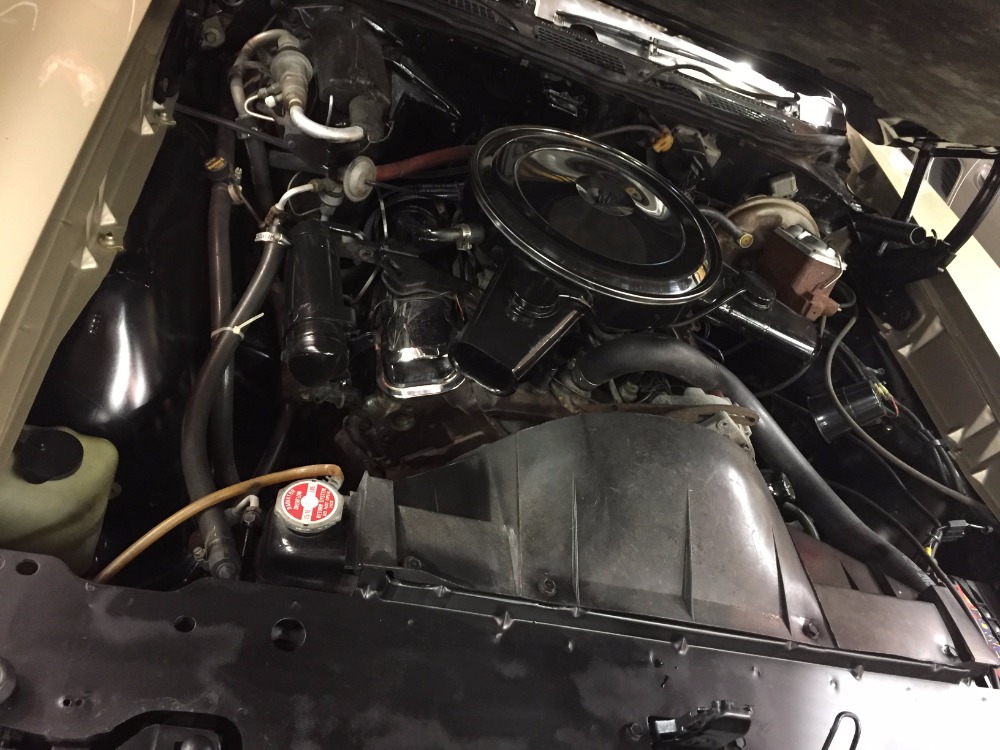 Used 1969 Pontiac GTO -ONE OWNER- NUMBERS MATCHING-ORIGINAL CAR- | Mundelein, IL