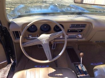 Used 1969 Pontiac GTO - NUMBERS MATCHING- FULL RESTO-ONE OWNER | Mundelein, IL