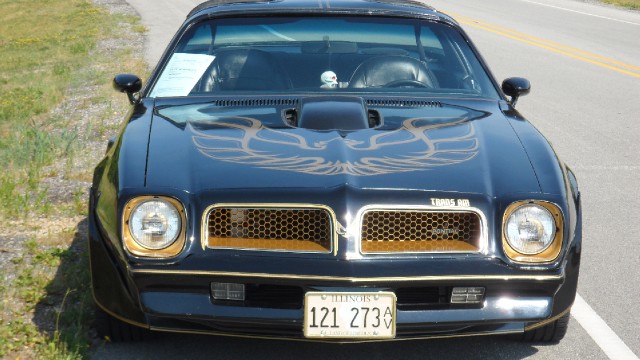 Used 1976 Pontiac Trans Am T-Tops- 50th Anniversary Edition-SEE VIDEO | Mundelein, IL