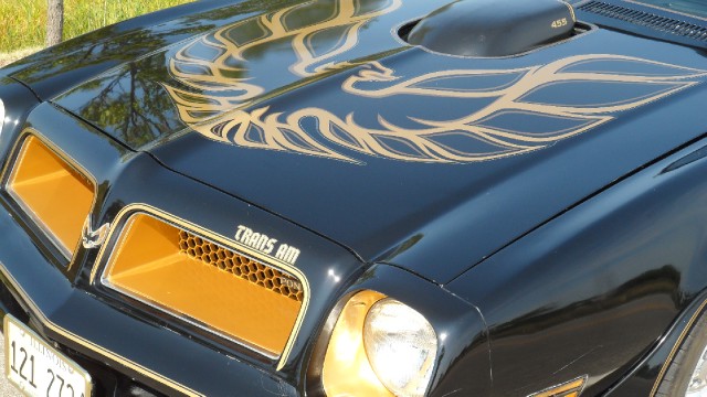 Used 1976 Pontiac Trans Am T-Tops- 50th Anniversary Edition-SEE VIDEO | Mundelein, IL