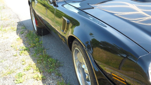 Used 1976 Pontiac Trans Am T-Tops- 50th Anniversary Edition-SEE VIDEO | Mundelein, IL