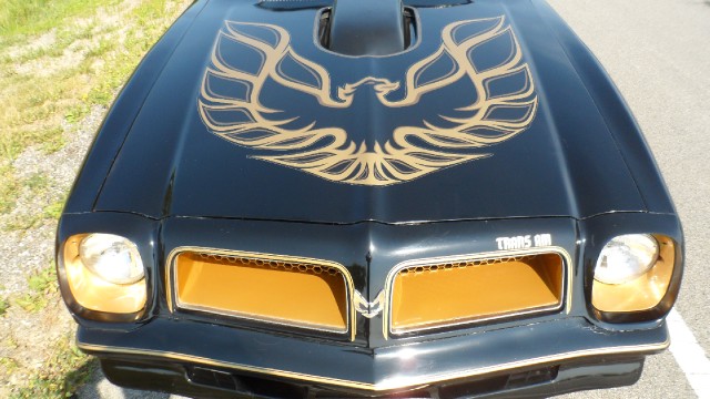 Used 1976 Pontiac Trans Am T-Tops- 50th Anniversary Edition-SEE VIDEO | Mundelein, IL