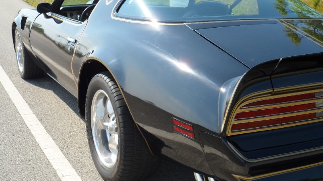 Used 1976 Pontiac Trans Am T-Tops- 50th Anniversary Edition-SEE VIDEO | Mundelein, IL