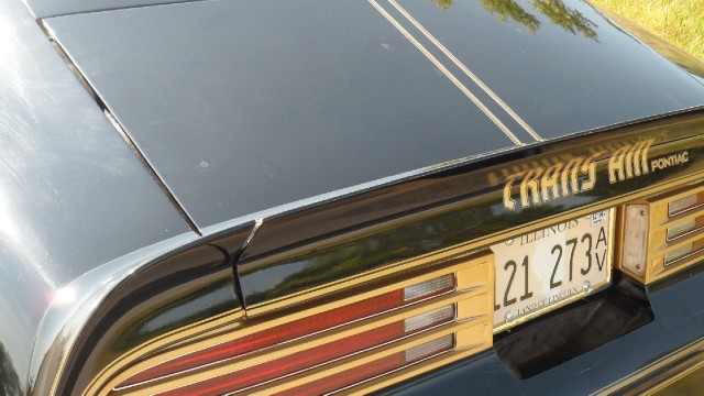 Used 1976 Pontiac Trans Am T-Tops- 50th Anniversary Edition-SEE VIDEO | Mundelein, IL