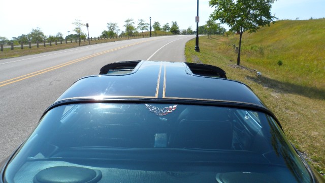 Used 1976 Pontiac Trans Am T-Tops- 50th Anniversary Edition-SEE VIDEO | Mundelein, IL
