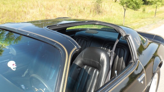 Used 1976 Pontiac Trans Am T-Tops- 50th Anniversary Edition-SEE VIDEO | Mundelein, IL