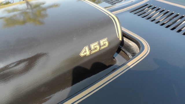 Used 1976 Pontiac Trans Am T-Tops- 50th Anniversary Edition-SEE VIDEO | Mundelein, IL
