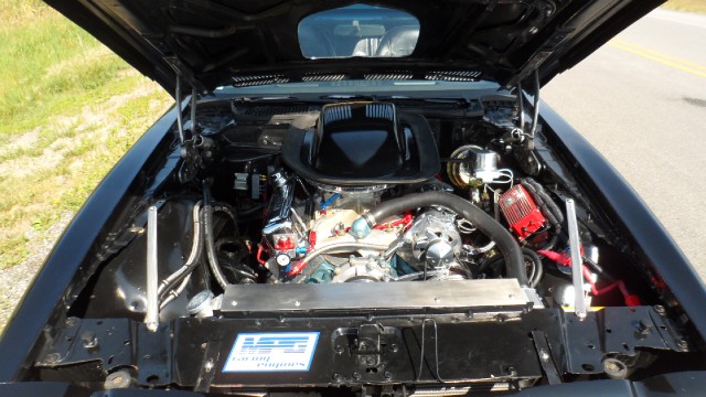 Used 1976 Pontiac Trans Am T-Tops- 50th Anniversary Edition-SEE VIDEO | Mundelein, IL