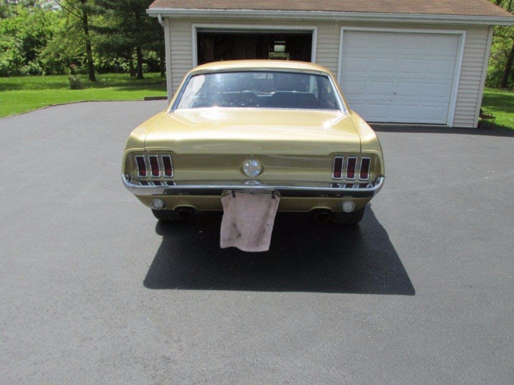 Used 1967 Ford Mustang - HIGH QUALITY MUSTANG- BLACK HILLS GOLD PAINT- | Mundelein, IL