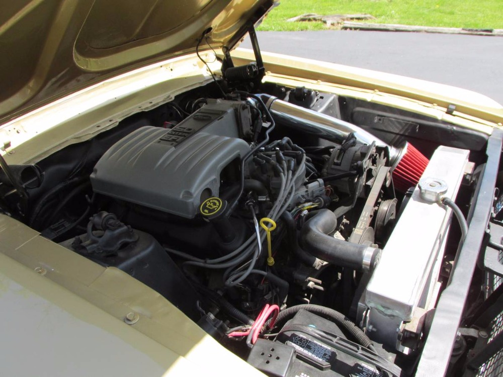 Used 1967 Ford Mustang - HIGH QUALITY MUSTANG- BLACK HILLS GOLD PAINT- | Mundelein, IL