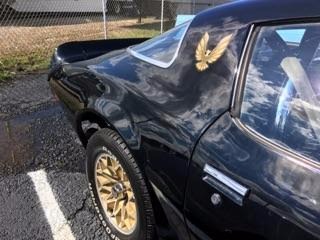 Used 1977 Pontiac Trans Am -M 21 FOUR SPEED-REAL WS4 CODE-BLACK ON BLACK-T/A-NEW LOW PRICE- | Mundelein, IL