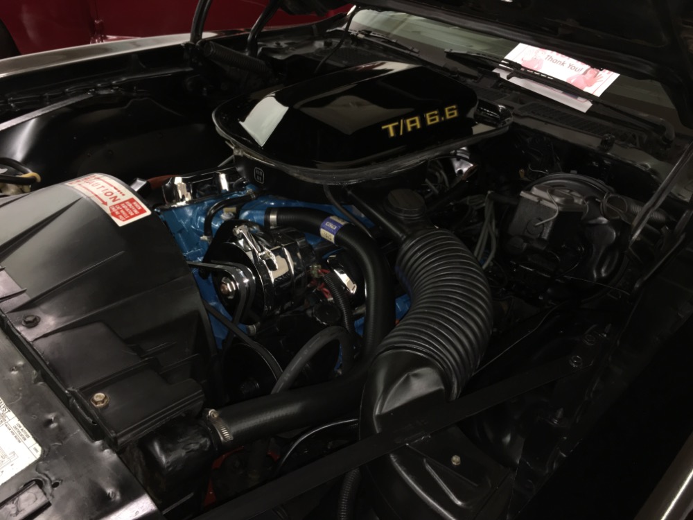 Used 1977 Pontiac Trans Am -M 21 FOUR SPEED-REAL WS4 CODE-BLACK ON BLACK-T/A-NEW LOW PRICE- | Mundelein, IL