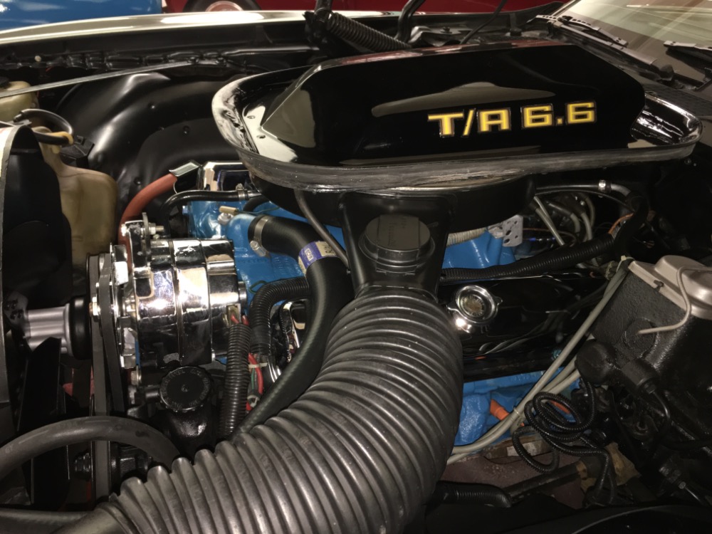 Used 1977 Pontiac Trans Am -M 21 FOUR SPEED-REAL WS4 CODE-BLACK ON BLACK-T/A-NEW LOW PRICE- | Mundelein, IL