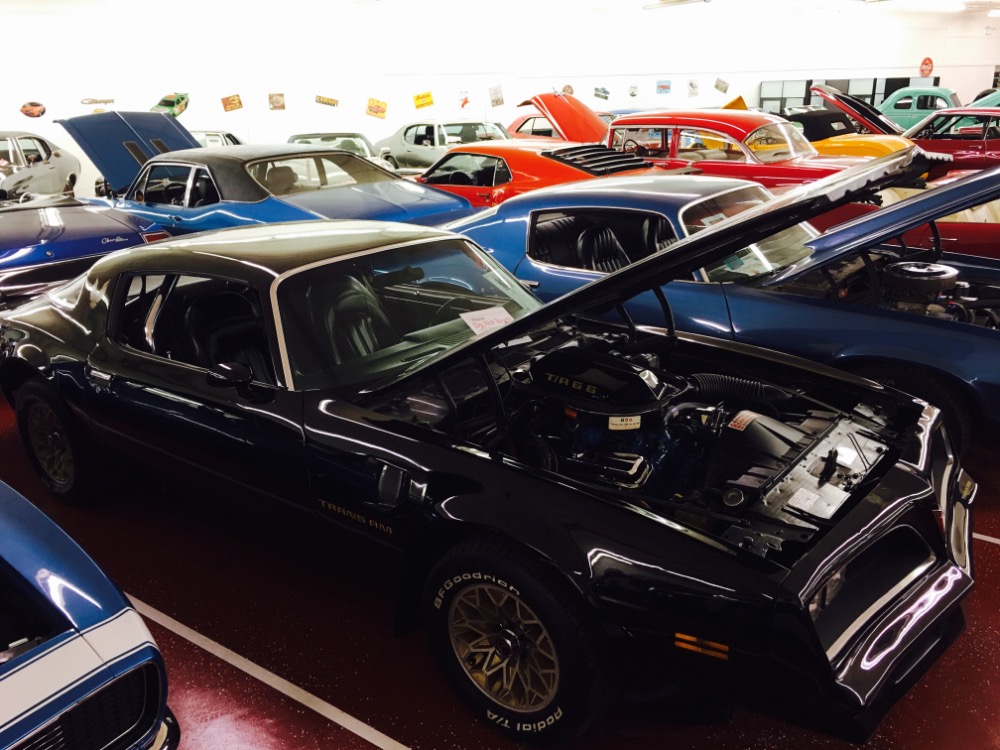 Used 1977 Pontiac Trans Am -M 21 FOUR SPEED-REAL WS4 CODE-BLACK ON BLACK-T/A-NEW LOW PRICE- | Mundelein, IL