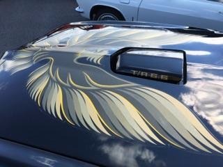 Used 1977 Pontiac Trans Am -M 21 FOUR SPEED-REAL WS4 CODE-BLACK ON BLACK-T/A-NEW LOW PRICE- | Mundelein, IL