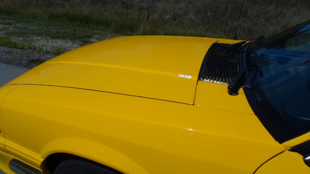 Used 1988 Ford Mustang Saleen-SEE VIDEO | Mundelein, IL