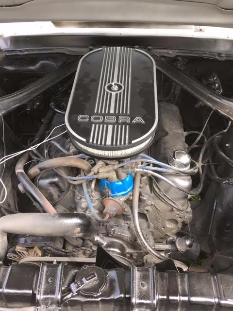 Used 1968 Ford Mustang -ELEANOR CLONE- SEE VIDEO | Mundelein, IL
