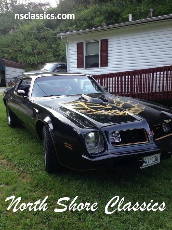 Used 1975 Pontiac Firebird -BLACK ON BLACK TRANS AM- | Mundelein, IL