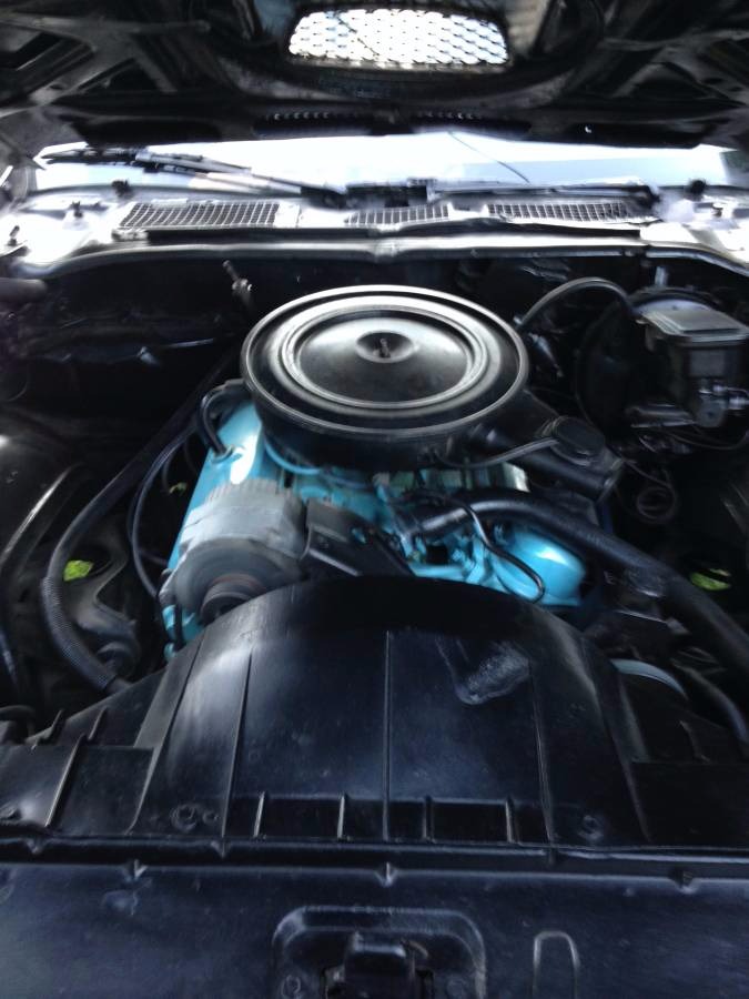 Used 1975 Pontiac Firebird -BLACK ON BLACK TRANS AM- | Mundelein, IL