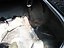 Used 1977 Oldsmobile Cutlass  | Mundelein, IL