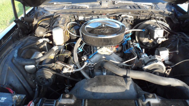 Used 1977 Oldsmobile Cutlass  | Mundelein, IL