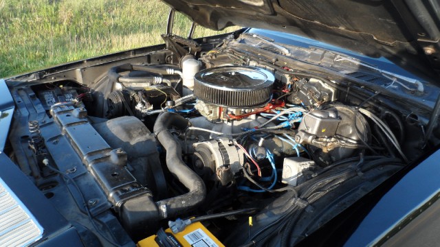 Used 1977 Oldsmobile Cutlass  | Mundelein, IL