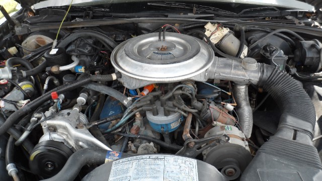 Used 1982 Lincoln Mark VI Signature Series | Mundelein, IL