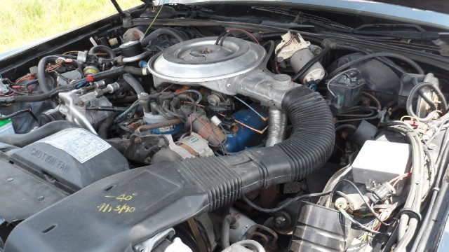 Used 1982 Lincoln Mark VI Signature Series | Mundelein, IL