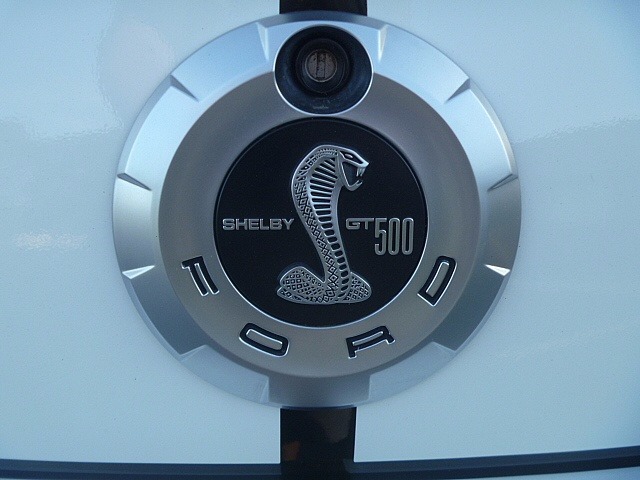 Used 2007 Ford Mustang -GT 500- LOW MILES-SHELBY FASTBACK SNAKE! | Mundelein, IL